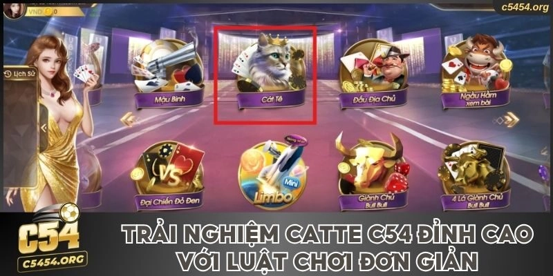 Catte C54