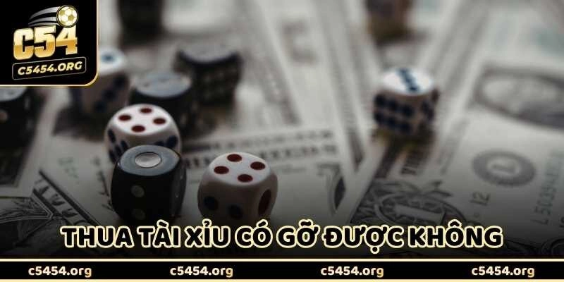 Thua Tài Xỉu Có Gỡ Được Không? Hé Lộ Góc Khuất Ít Ai Biết
